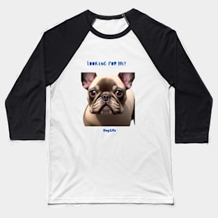 Its a Dog's life Baseball T-Shirt